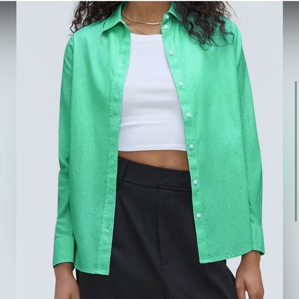 Everlane Silky Cotton Relaxed Green Striped Button Down Oxford Shirt